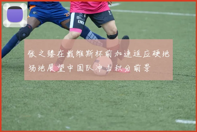 张之臻在戴维斯杯前加速适应硬地场地展望中国队冲击积分前景