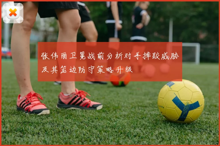 张伟丽卫冕战前分析对手摔跤威胁及其笼边防守策略升级
